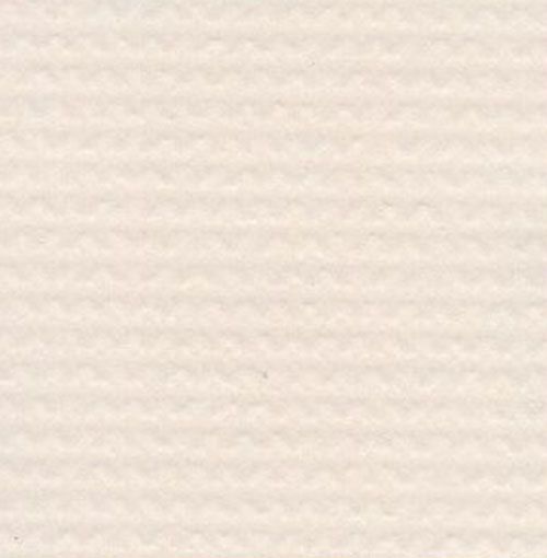 Opaque Beige 004