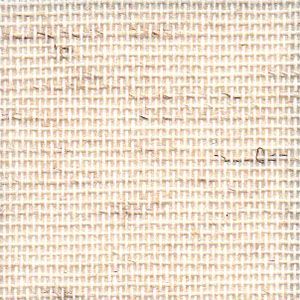 Silene Beige 004